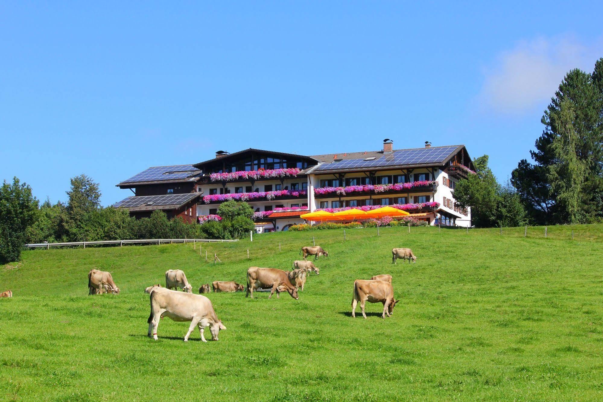 Schwarzenbach - Wellness&spa Hotel 3*